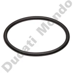 Fuel Pump Ring Base Plate Flange Aprilia Rsv 1000 Futura Sl Falco Tuono Fkm 75. Fixed Price $18.20.