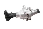 20 Indian Challenger Dark Horse Thermostat. Fixed Price $39.99.