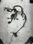 Main Engine Wire Harness Oem For 04-20 Harley Sportster Xl 883 1200 69200072B. Fixed Price $118.80.