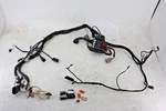 1995 Harley-davidson Sportster XL883 Hugger Main Wiring Wire Harness Plugs. Fixed Price $224.99.