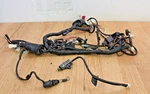 2009 Yamaha XT250 Main Wiring Harness/side Stand Switch/brakelight. Fixed Price $99.00.