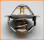New Thermostat For Honda ST1100AL ST1100P 1991-2003. Fixed Price $17.98.