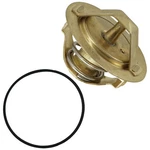 Thermostat W/ O-ring For Kawasaki Vulcan Classic Costom VN900 Lt 2006-2011. Fixed Price $16.01.