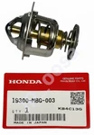 Honda VFR800 CBR900RR Fireblade SC33 Oem Thermostat 19300-MBG-003. Fixed Price $71.50.