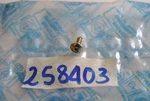Blinker Switch Screw Piaggio Vespa Granturismo 125. Fixed Price $27.09.